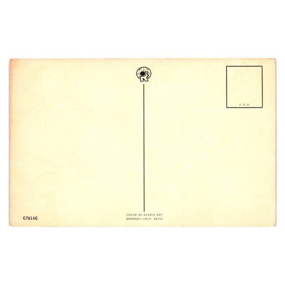 California Gold Citrus Postcard Vintage Scenic Art Berkeley California USA - Picture 2 of 2